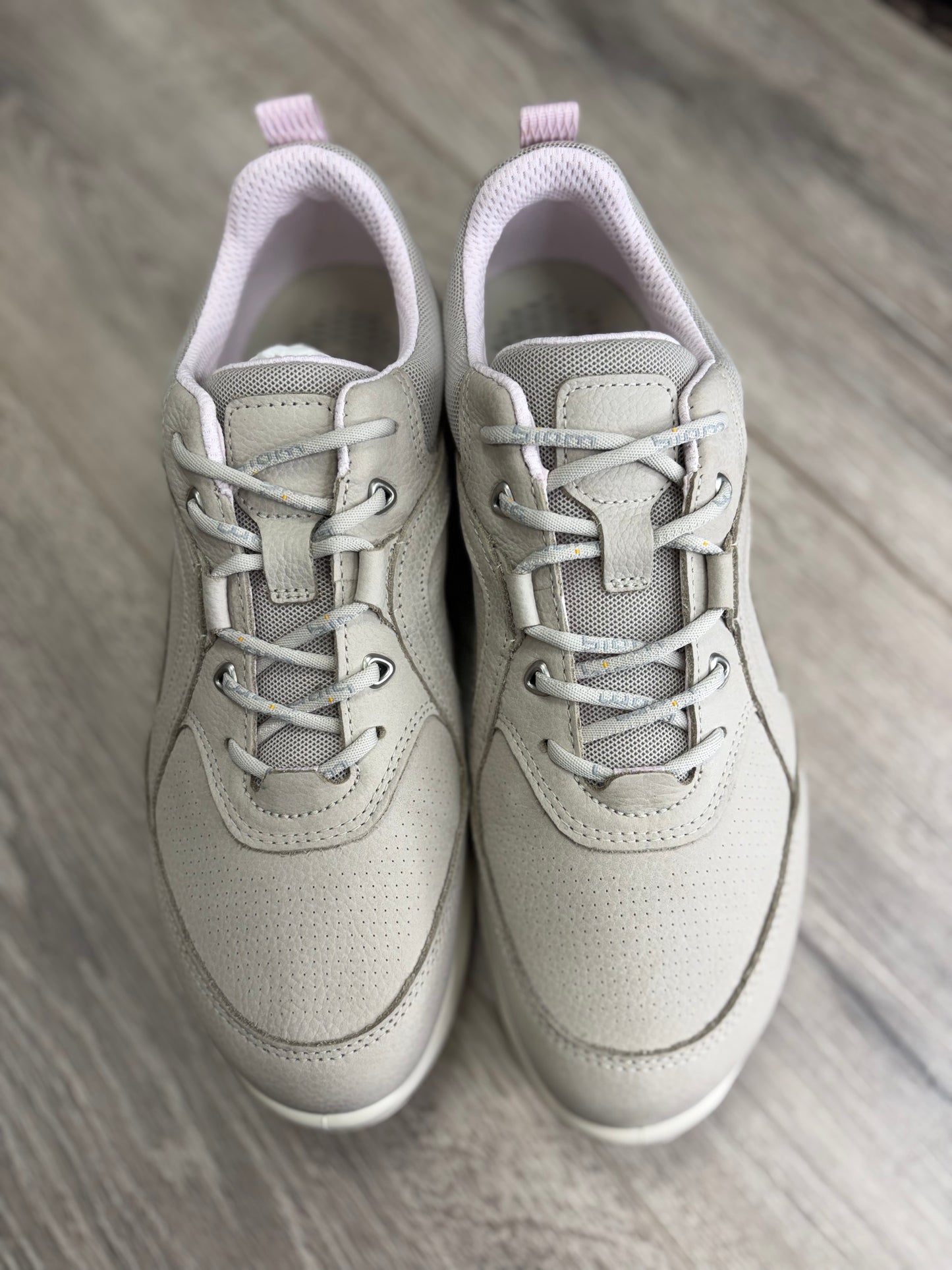 Ecco - Grey Trainer