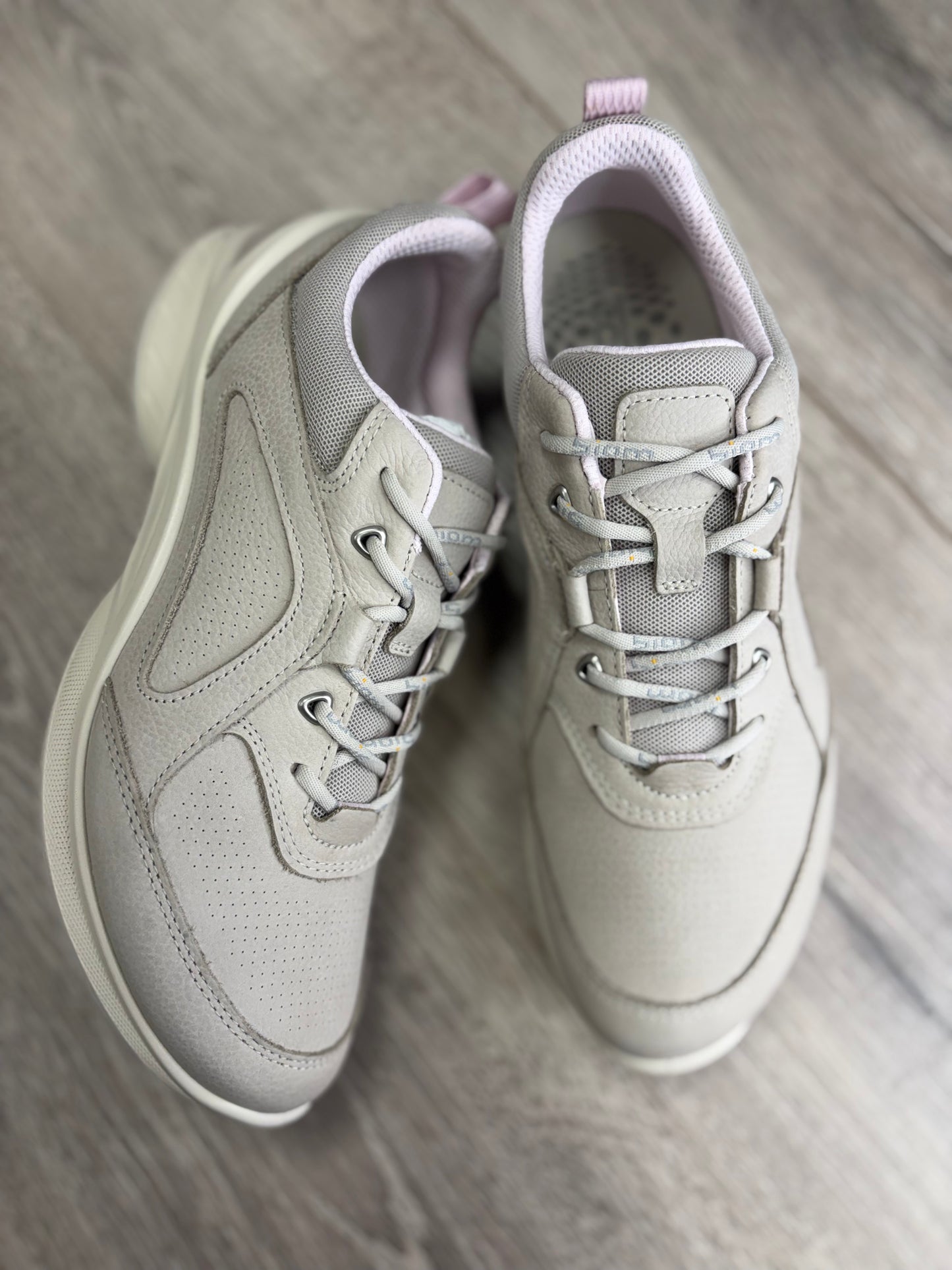 Ecco - Grey Trainer