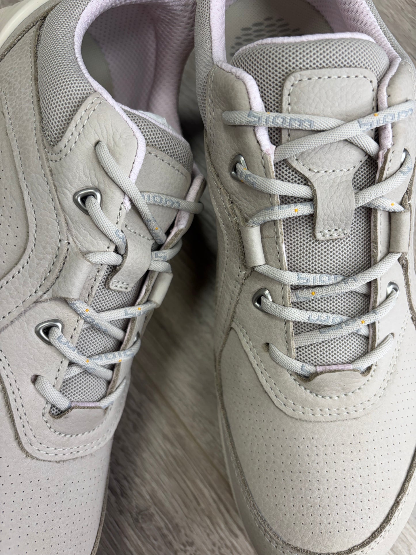 Ecco - Grey Trainer